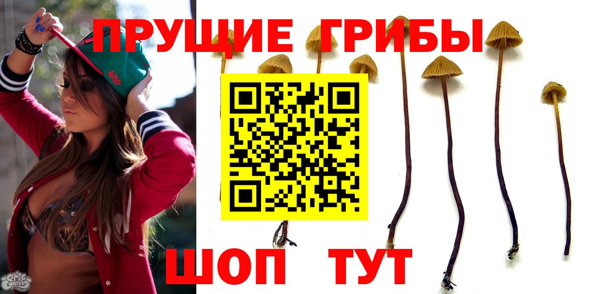 Псилоцибиновые грибы GOLDEN TEACHER Тимашёвск