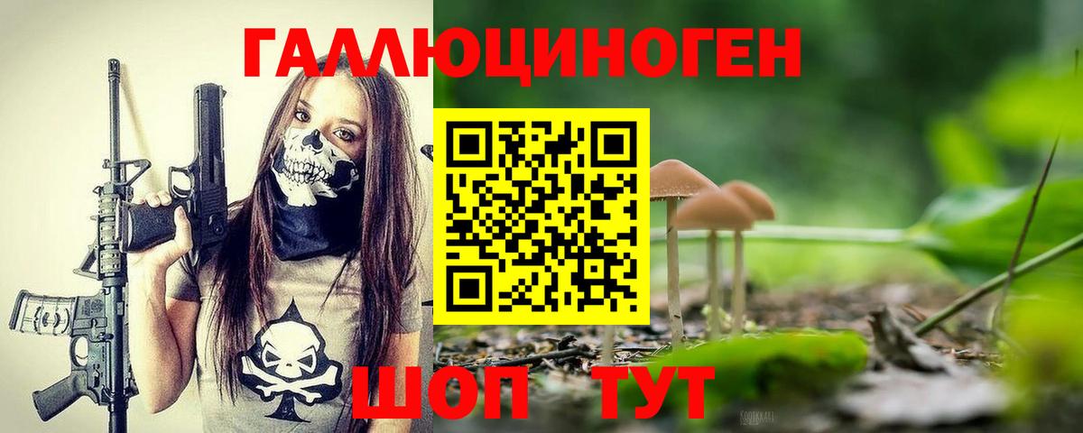 Тимашёвск  Псилоцибиновые грибы GOLDEN TEACHER  Вход с VPN 